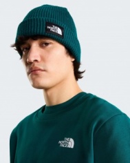 Felpa sportiva girocollo pullover The North Face EVOLUTION BOX NSE REGULAR CREW Cotone Uomo Pacific Teal - The North Face Evolution Box Nse Regular Crew Men's Cotton Crewneck Pullover Sweatshirt, Pacific Teal - Sweat-shirt à col rond en coton The North Face Evolution Box NSE Regular Crew pour homme, couleur bleu sarcelle Pacifique - The North Face Evolution Box NSE Regular Crew Herren-Sweatshirt aus Baumwolle mit Rundhalsausschnitt, Pazifik-Teal