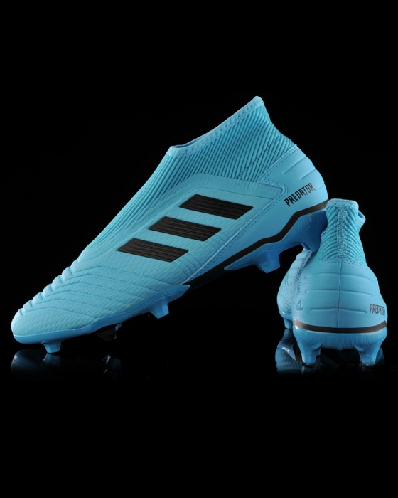 predator azzurre